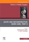 Francesco M Egro, Francesco M. Egro, Francesco M. Egro, C Scott Hultman, C. Scott Hultman, C. Scott (Chair Hultman - Acute and Reconstructive Burn Care, Part II, An Issue of Clinics in Plastic Surgery: Volume 51-3