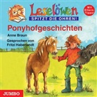 Anne Braun, Fritzi Haberlandt - Ponyhofgeschichten, 1 Audio-CD (Hörbuch)