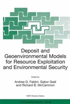 Richard B McCammon, Andrea G Fabbri, Andrea G. Fabbri, Gabor Gaal, Gabo Gaál, Gabor Gaál... - Deposit and Geoenvironmental Models for Resource Exploitation and Environmental Security