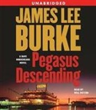 James Lee Burke, James Lee/ Patton Burke, Will Patton - Pegasus Descending