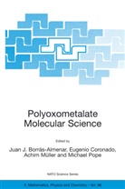 Juan J. Borrás-Almenar, Coronado, E Coronado, E. Coronado, Achim Müller, Achim Müller et al... - Polyoxometalate Molecular Science