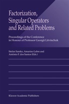 António F. dos Santos, António F dos Santos, Amarino Lebre, Stefan Samko - Factorization, Singular Operators and Related Problems