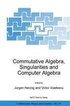 Jürge Herzog, Jürgen Herzog, Vuletescu, Vuletescu, Victor Vuletescu - Commutative Algebra, Singularities and Computer Algebra