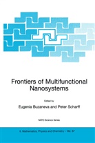Eugenia V. Buzaneva, Peter Scharff, Eugenia V. Buzaneva, Scharff, Scharff, Peter Scharff... - Frontiers of Multifunctional Nanosystems