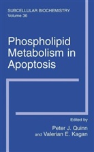 Valerian E. Kagan, Peter J. Quinn - Phospholipid Metabolism in Apoptosis