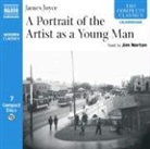 James Joyce, Jim Norton - Portrait of the Artist As a Young Man (Hörbuch)