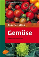 Elke Mattheus-Staack - Gemüse