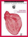 Bryan H. Derrickson, Gerard J. Tortora, Gerard J. Derrickson Tortora - Principles of Anatomy and Physiology Illustrated Notebook
