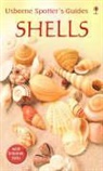 Graham Saunders - Shells