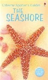 Su Swallow, Swallow Su, John Barber - Seashore