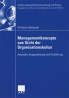 Christian Zielowski - Managementkonzepte aus Sicht der Organisationskultur