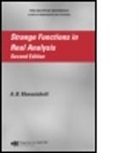 A B Karazishvili, A. B. Kharazishvili, Alexander Kharazishvili - Strange Functions in Real Analysis