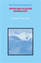 P Singh, P. Singh - Snow and Glacier Hydrology