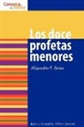 Alejandro Botta, Alejandro F Botta, Alejandro F. Botta, Justo L Gonzalez, Justo L. Gonzalez - Los Doce Profetas Menores
