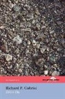 Richard P. Gabriel - Drive on (the Hollyridge Press Chapbook Series)