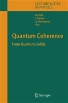 Jaroslav Fabian, Ulrich Hohenester, Fabian Jaroslav, Walter Pötz - Quantum Coherence