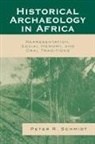 Peter Schmidt, Peter R. Schmidt - Historical Archaeology in Africa