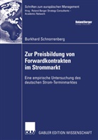 Burkhard Schnorrenberg - Zur Preisbildung von Forwardkontrakten im Strommarkt