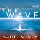 Walter Mosley, Walter/ Cain Mosley, Tim Cain - The Wave