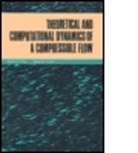 S. Luo, Shijun Luo, Pai, Pai, Shih-i Pai, Shih-I Luo Pai... - Theoretical Computational Dynamics