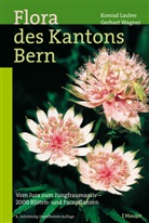 Andreas Gygax, Konrad Lauber, Gerhart Wagner, Konrad Lauber - Flora des Kantons Bern