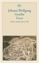 Johann Wolfgang von Goethe - Faust Eine Tragödie
