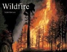 Taylor Morrison - Wildfire