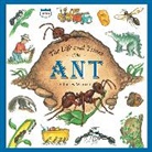 Micucci Charles Micucci, Charles Micucci - The Life And Times of the Ant