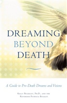 Kelly Bulkeley, Kelly/ Bulkley Bulkeley, Patricia Bulkley, Patricia Rev Bulkley, Patricia Rev. Bulkley, Rev. Patricia Bulkley - Dreaming Beyond Death