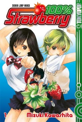 Mizuki Kawashita, Michael Schweitzer - 100% Strawberry - Bd. 1: 100% Strawberry. Bd.1