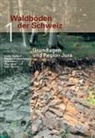 Peter Lüscher, Jörg Luster, Lorenz Walthert, Stephan Zimmermann, Lüscher P, Lüscher Pet... - Waldböden der Schweiz