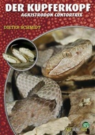 Dieter Schmidt - Der Kupferkopf