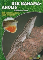 Uwe Bartelt, Iris Zeilfelder - Der Bahama-Anolis