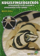 Beate Röll - Kugelfingergeckos