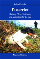 Roland Schulte - Foxterrier