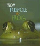 Anita Ganeri - From Tadpole to Frog