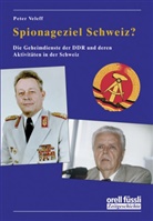 Peter Veleff - Spionageziel Schweiz?