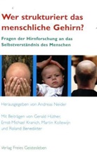 Andreas Neider, Andreas Neider - Wer strukturiert das menschliche Gehirn?