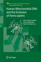 Hans-Jürgen Bandelt, Vincent Macaulay, Marti Richards, Martin Richards - Human Mitochondrial DNA and the Evolution of Homo sapiens