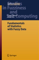 Hung Nguyen, Hung T Nguyen, Hung T. Nguyen, Berlin Wu - Fundamentals of Statistics with Fuzzy Data