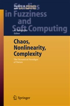M. Zuhair Nashed, Asho Sengupta, Ashok Sengupta - Chaos, Nonlinearity, Complexity