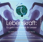 Claire Fisher, K.D. Ritter - Lebenskraft, 1 Audio-CD (Audio book)