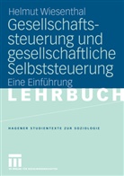 Helmut Wiesenthal - Gesellschaftssteuerung und gesellschaftliche Selbststeuerung