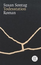 Susan Sontag - Todesstation
