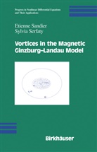 Etienn Sandier, Etienne Sandier, Sylvia Serfaty - Vortices in the Magnetic Ginzburg-Landau Model