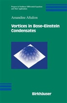 Amandine Aftalion - Vortices in Bose-Einstein Condensates