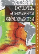 David Gubbins, Davi Gubbins, David Gubbins, Herrero-Bervera, Herrero-Bervera, Emilio Herrero-Bervera - Encyclopedia of Geomagnetism and Paleomagnetism