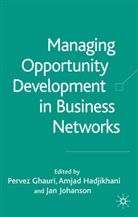 P. Ghauri, Pervez Ghauri, Pervez N. Ghauri, Hadjikhani, A Hadjikhani, A. Hadjikhani... - Managing Opportunity Development in Business Networks