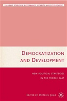 Dietrich Jung, Jung, D Jung, D. Jung, Dietrich Jung - Democratization and Development