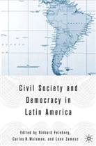 Feinberg, Professor of Anthropology Richard (Kent Feinberg, R Feinberg, R. Feinberg, Waisman, C Waisman... - Civil Society and Democracy in Latin America